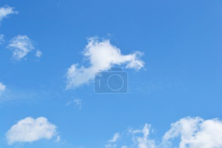 Cerf ciel bleu et nuages 