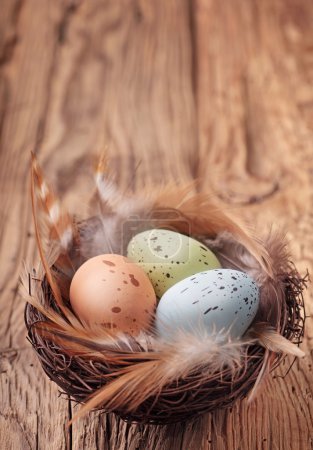 oeufs de Pâques dans le nid