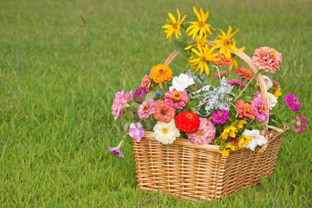 Fleurs colorées dans un panier en osier sur fond d'herbe verte 