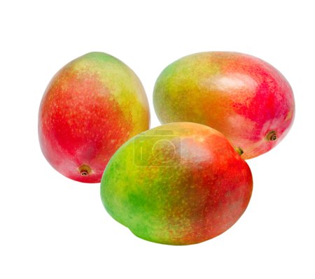 mangue
