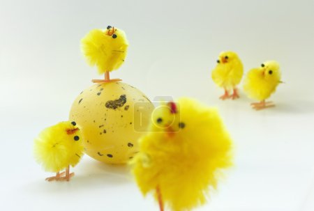 Poulets de Pâques 