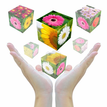 Cube de fleurs 