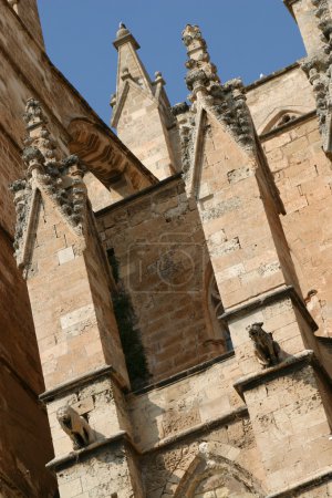 La cathédrale Santa Maria de Palma 