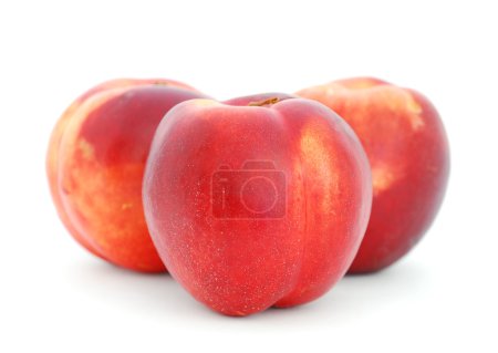 Nectarines