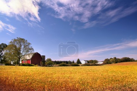 paysage agricole 