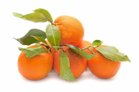Orange fraîche 