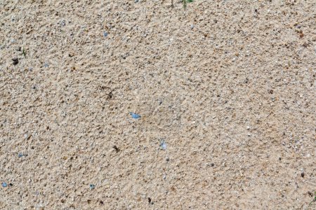 La surface du sable 