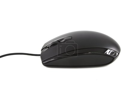 Souris isolée sur fond blanc