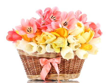 Belles tulipes dans le panier isolé sur blanc 