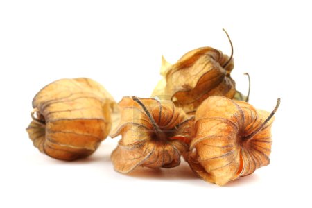 tas de Physalis isolé sur blanc 