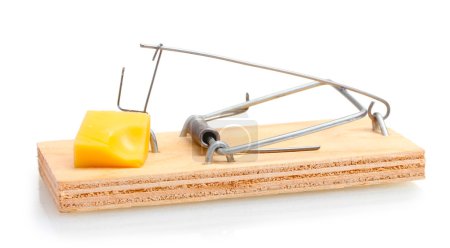 Mousetrap avec morceau de fromage isolé sur blanc 