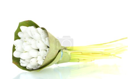 beau bouquet de gouttes de neige isolé sur blanc 