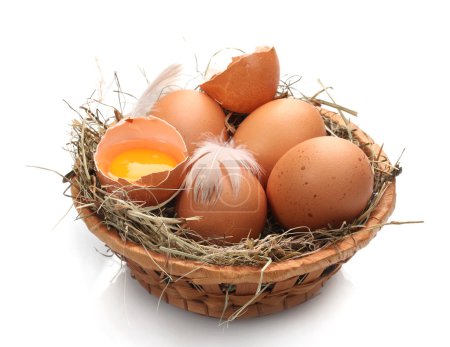 œufs de poule dans un nid isolé sur blanc 