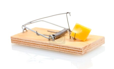 Mousetrap avec morceau de fromage isolé sur blanc 
