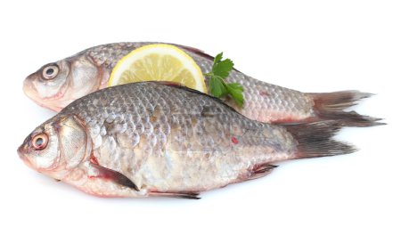 Poissons frais au citron et persil isolés sur blanc 