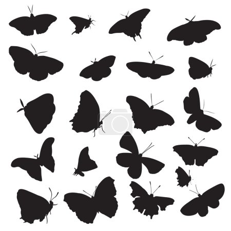 mariposas