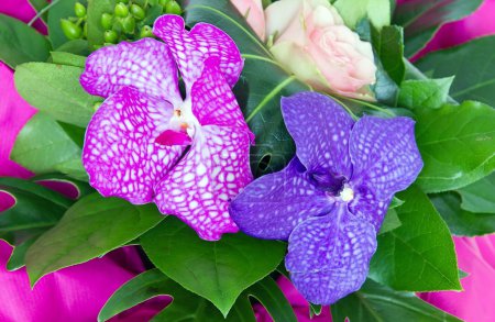 bouquet d'orchidées 