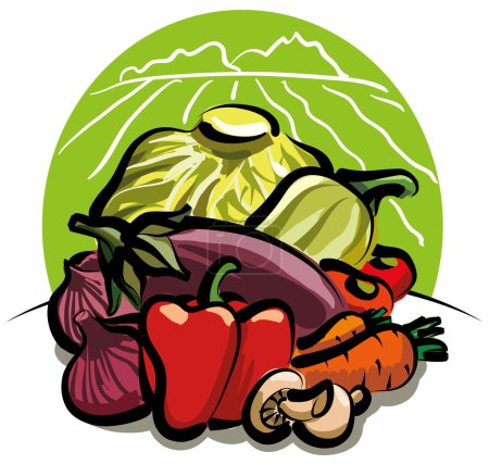 récolte de légumes 