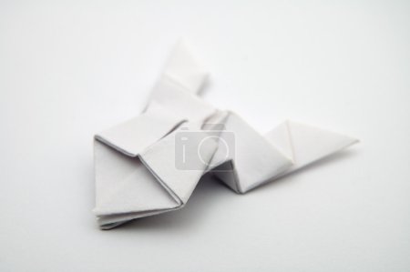 Grenouille papier 