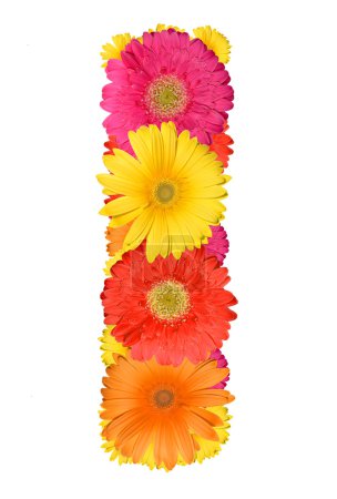 Alphabet de Gerbera 
