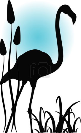 Flamant rose dans l'eau 