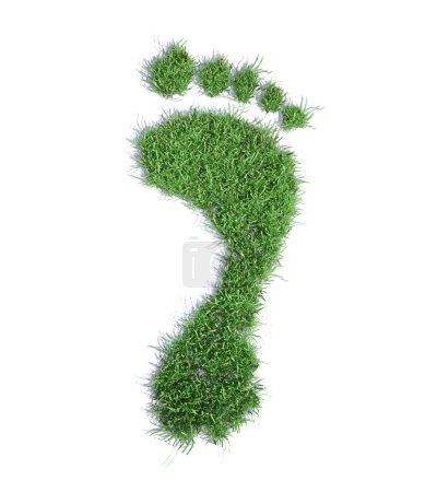 Illustration du concept d'empreinte écologique - empreinte des parcelles de gazon 
