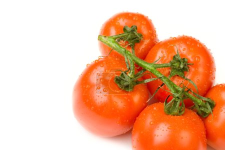 tomates sur la branche