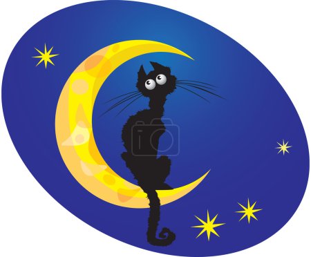 chat sur lune 