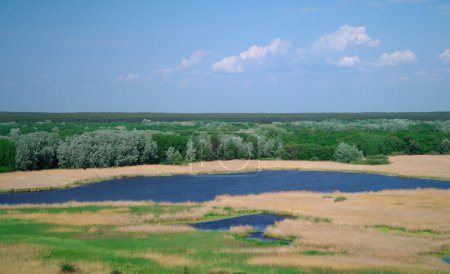 Vue sur la rivière, printemps .Ukraine .