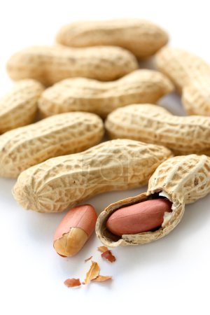 Arachides sur fond blanc