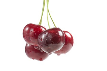 cerise