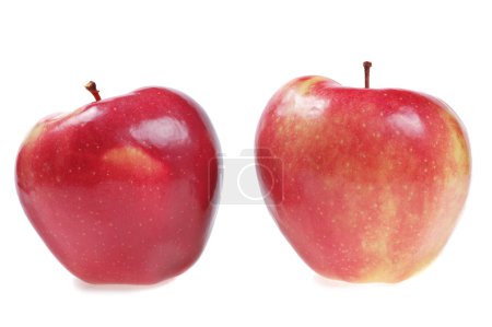 Paire fraîcheur pomme 