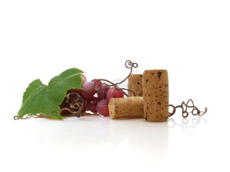 La vigne 