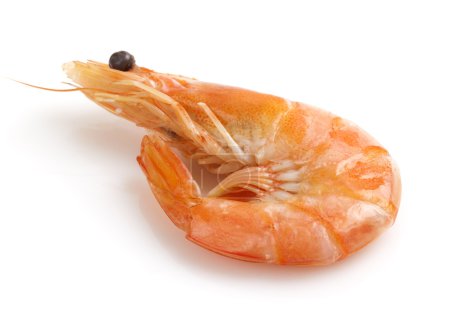 crevettes