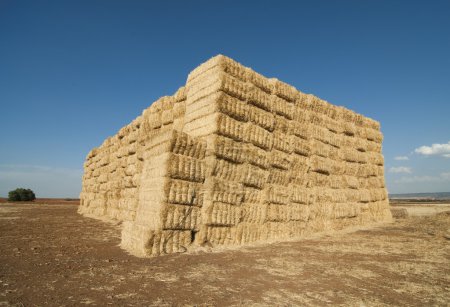 Pailles de foin, champs de céréales 