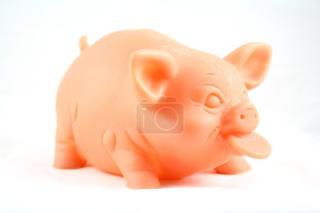 Porc, un gros animal 