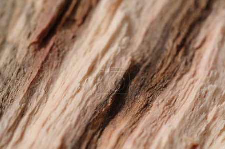 Fond en bois 
