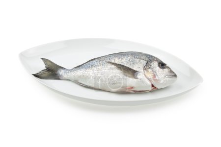 Dorada fruits de mer sur plaque elliptique blanche avec ombre. Poisson de brème .