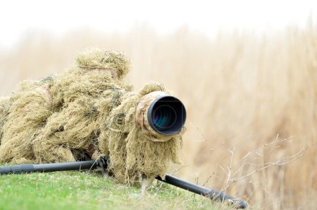 Photographe animalier extérieur 