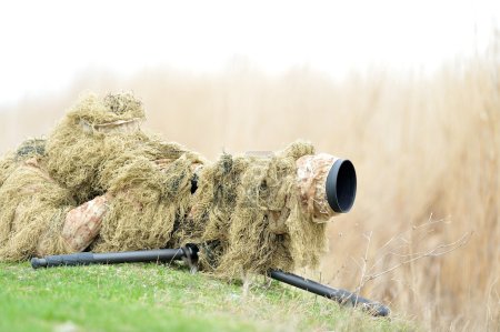 Photographe animalier extérieur 