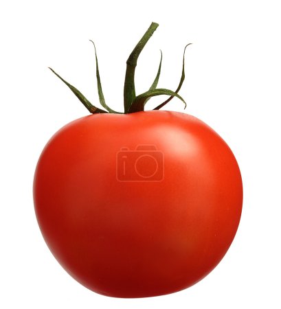 tomate