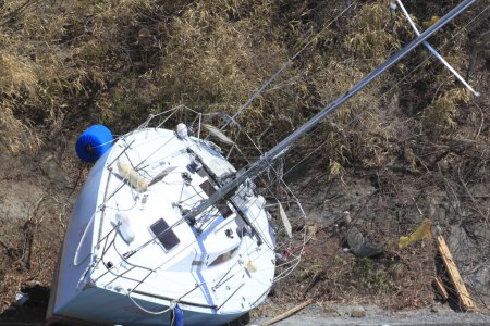 Le grand tremblement de terre dans l'Est du Japon 