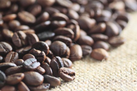 grains de café fond