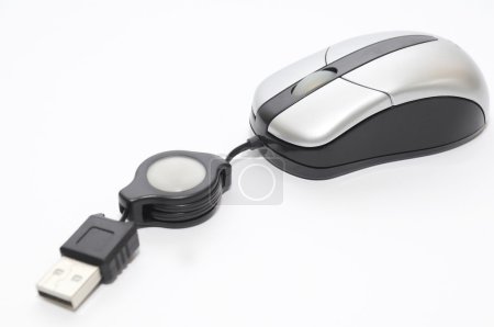 Souris informatique 