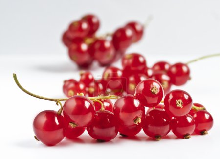 Groseilles rouges 