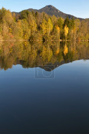 Arbres avec feuilles d'automne sur un lac en Bavière, Allemagne 