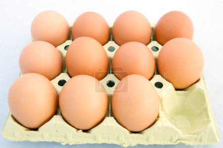 Œufs de poulet 