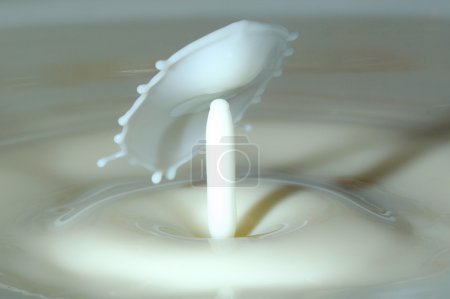 Splash dans un verre de lait 