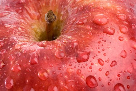 Macro pomme avec des gouttes d'eau rouge 