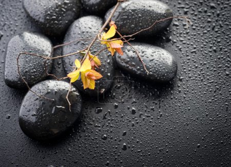 Concept de spa 
